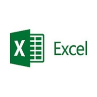 Excel Partner Logo